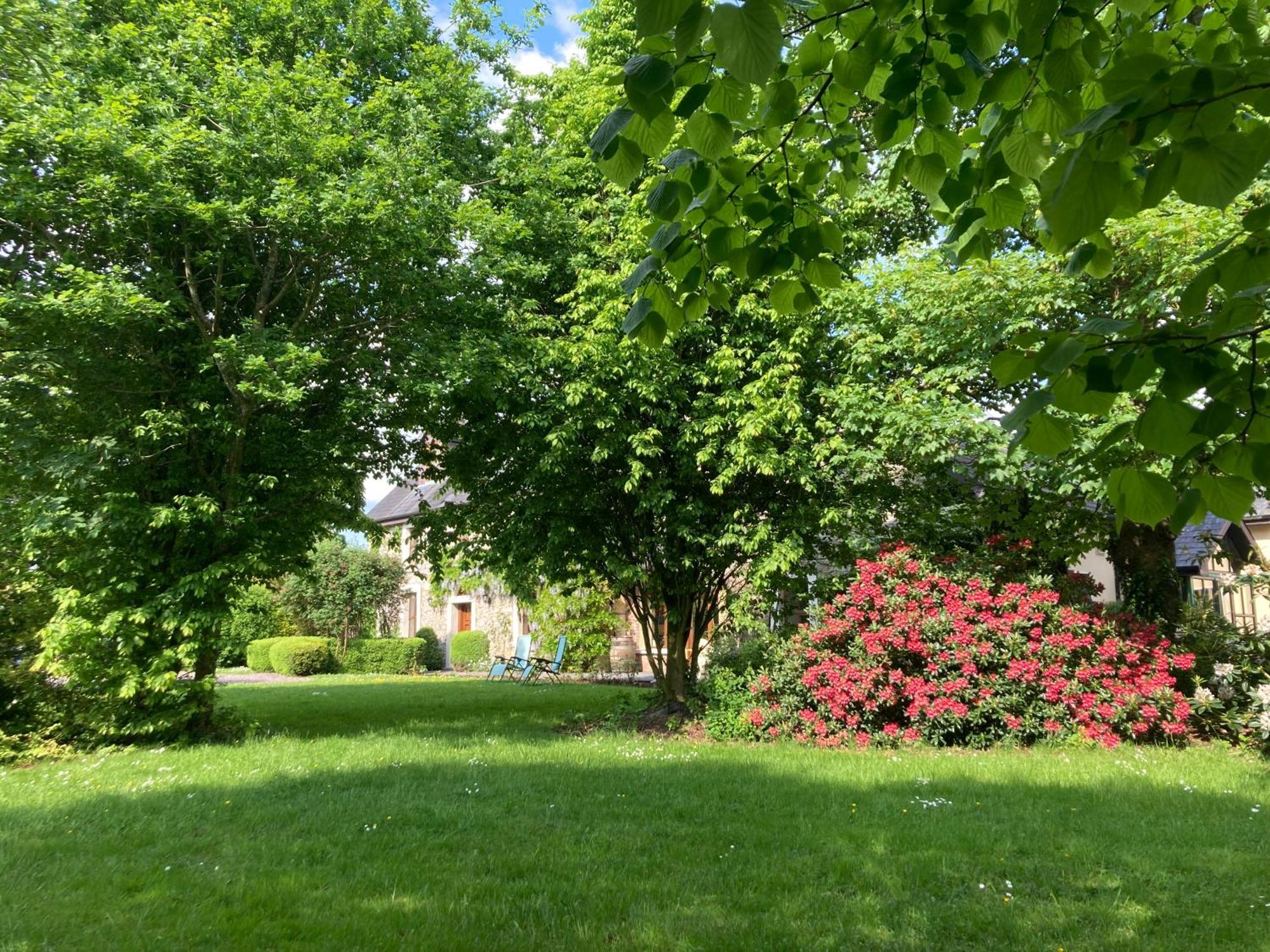 Grove House Country Rooms Shanballymore Bagian luar foto